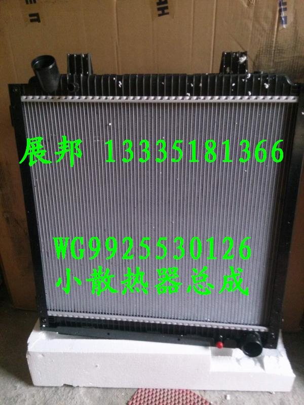 WG9925530126,小散熱器總成,濟(jì)南冠澤卡車配件營(yíng)銷中心