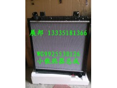 WG9925530126,小散熱器總成,濟(jì)南冠澤卡車配件營(yíng)銷中心