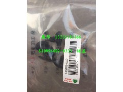 810W96002-0333,堵蓋,濟南冠澤卡車配件營銷中心