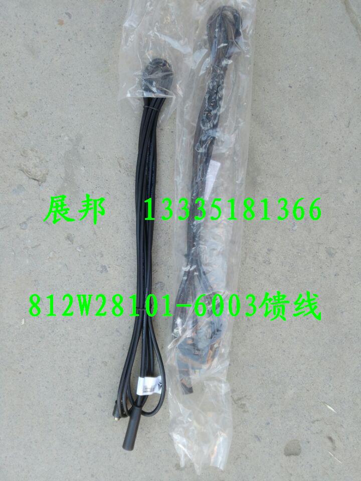 812W28101-6003,饋線,濟(jì)南冠澤卡車配件營銷中心