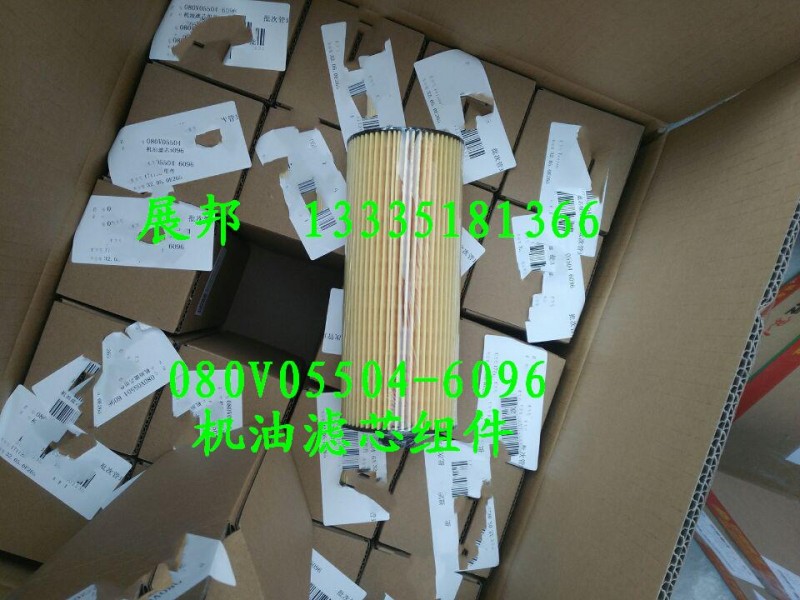 豪沃 機油濾芯組件/080V05504-6096
