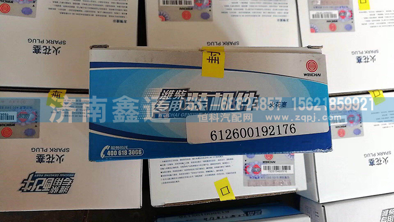 火花塞612600192176/612600192176
