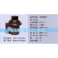 轉(zhuǎn)向助力泵WG96194700800