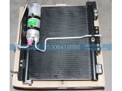 8105A4D-010,冷凝器總成-帶干燥器,濟(jì)南琪芹汽車(chē)配件銷(xiāo)售中心