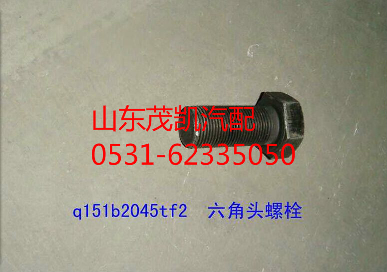 q151b2045tf2,豪沃氣室支架螺絲,山東茂凱商貿有限公司