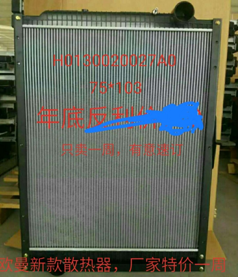 H0130020027A0散熱器總成/H0130020027A0