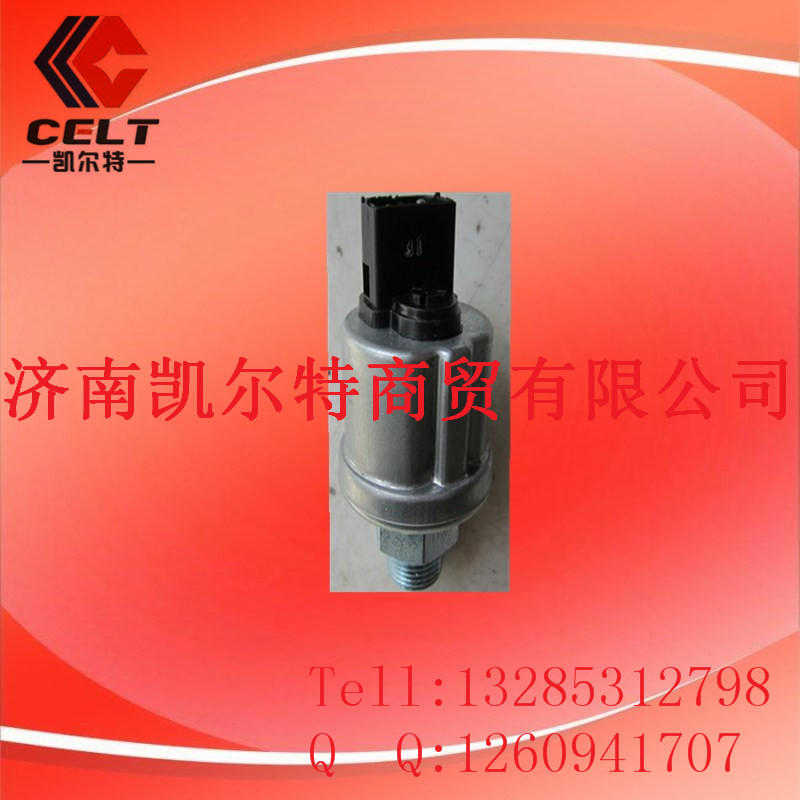 VG1500090060,HOWO機(jī)油壓力傳感器,濟(jì)南凱爾特商貿(mào)有限公司