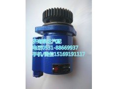 610800130111,轉(zhuǎn)向助力泵,濟(jì)南泉達(dá)汽配有限公司