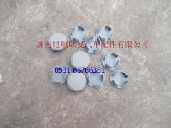 H4845010009A0,腳踏板護(hù)罩堵蓋,濟(jì)南愷航歐曼汽車配件有限公司