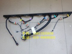 612630080072,噴油器線束,北京遠(yuǎn)大歐曼汽車配件有限公司