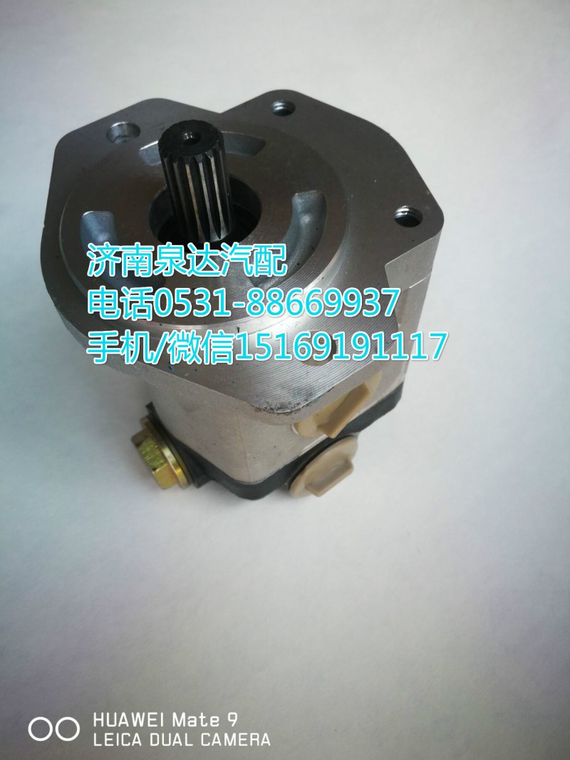徐工起重機轉向泵803006891/803006891