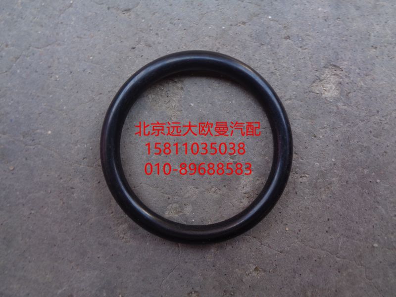 1138134000021,O型密封圈,北京遠大歐曼汽車配件有限公司