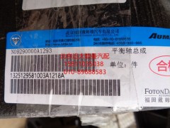 1325129581003,平衡軸總成,北京遠大歐曼汽車配件有限公司