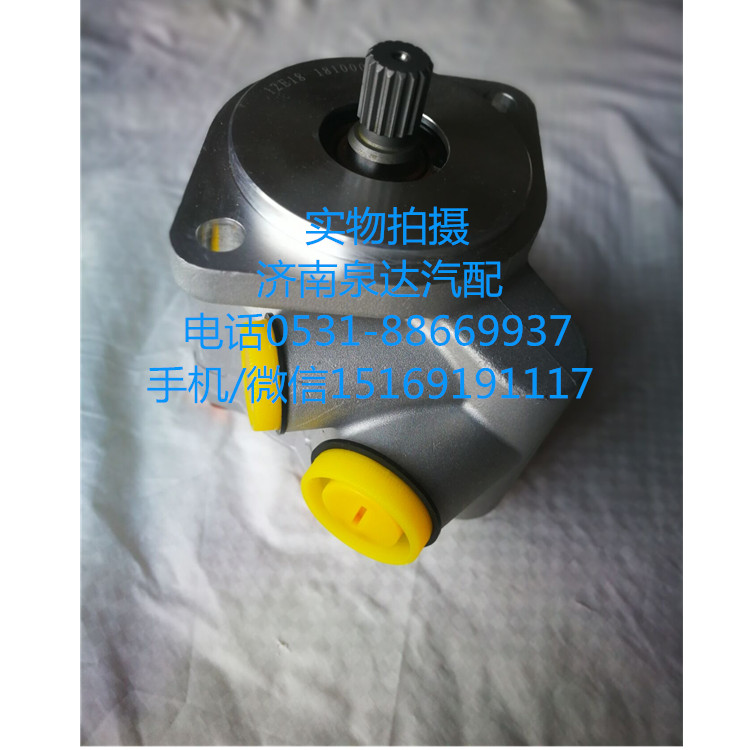 5802208782,轉(zhuǎn)向助力泵,濟南泉達汽配有限公司