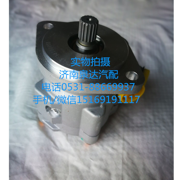5802208782,轉(zhuǎn)向助力泵,濟南泉達汽配有限公司