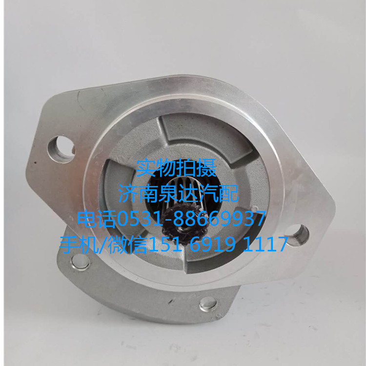 浦沅起重機(jī)液壓轉(zhuǎn)向油泵、助力泵QC18/13-226B’/QC18/13-226B’