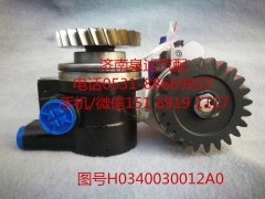 H0340030012A0,轉(zhuǎn)向助力泵,濟(jì)南泉達(dá)汽配有限公司