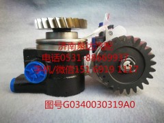 G0340030319A0,轉(zhuǎn)向助力泵,濟南泉達汽配有限公司