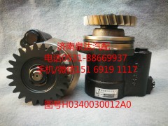 H0340030012A0,轉(zhuǎn)向泵,濟(jì)南泉達(dá)汽配有限公司