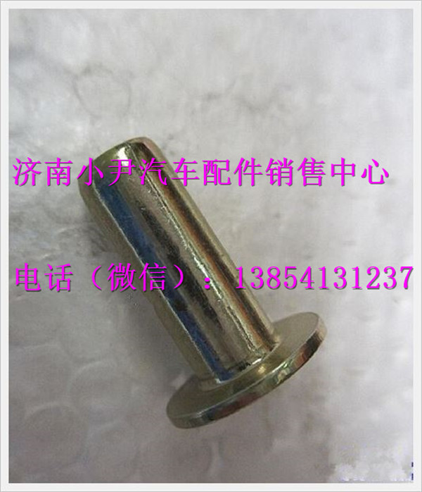 P81.92201.0109,陜汽德龍奧龍鉚釘,濟(jì)南少岱汽車(chē)配件有限公司