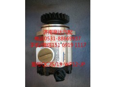QC25/19-WP12-JP,轉(zhuǎn)向泵,濟(jì)南泉達(dá)汽配有限公司