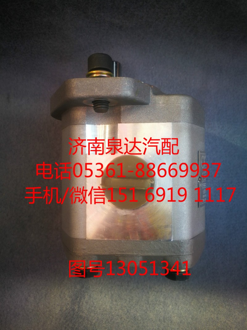 13051341濰柴道依茨齒輪式轉向油泵/13051341