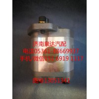 13051341濰柴道依茨齒輪式轉(zhuǎn)向油泵