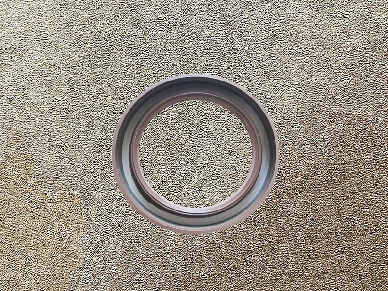 WG9003070055,A shaft seal,濟南向前汽車配件有限公司