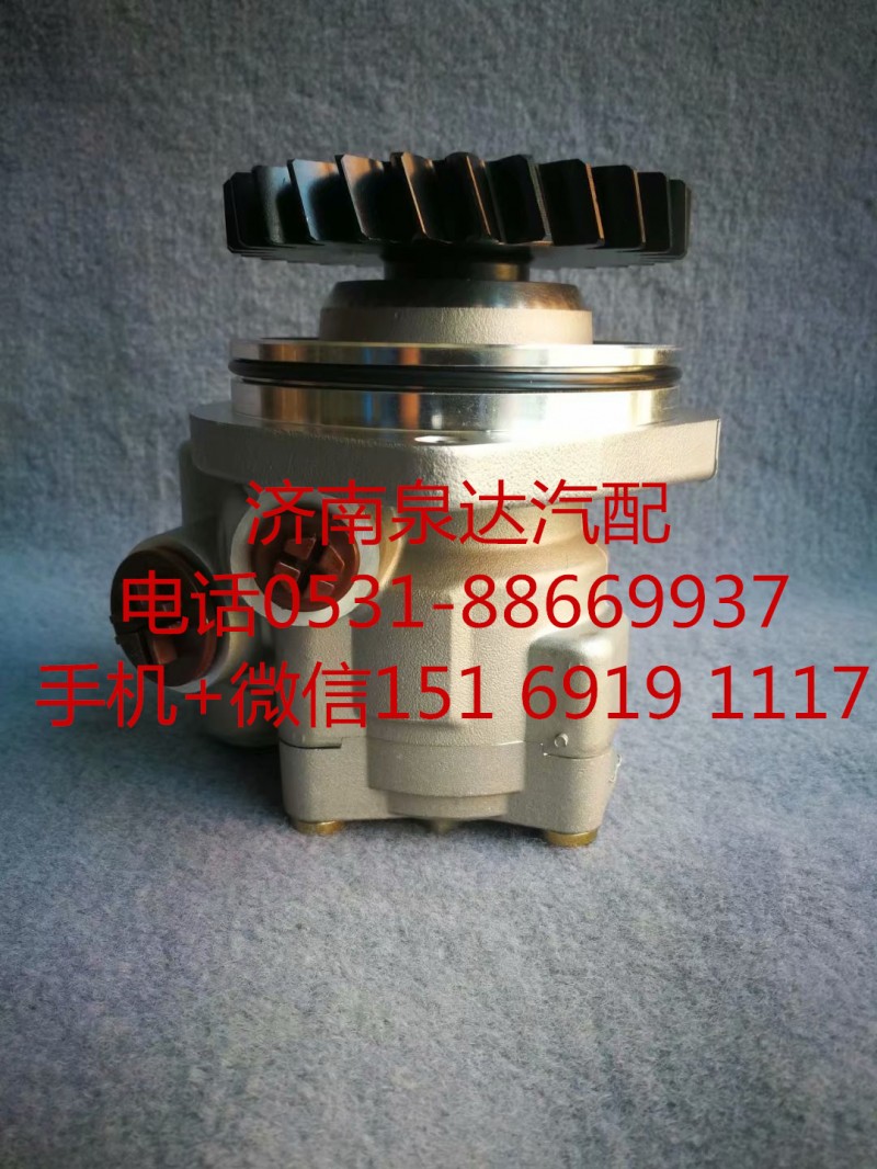 100340700162,助力泵,濟(jì)南泉達(dá)汽配有限公司