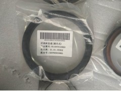 后油封總成（迷宮式）VG1047010050