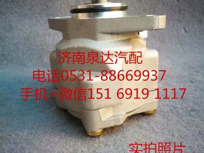 3407010LE661,轉(zhuǎn)向助力泵,濟(jì)南泉達(dá)汽配有限公司