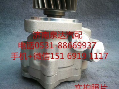 3407010Y1T20,轉(zhuǎn)向助力泵,濟(jì)南泉達(dá)汽配有限公司