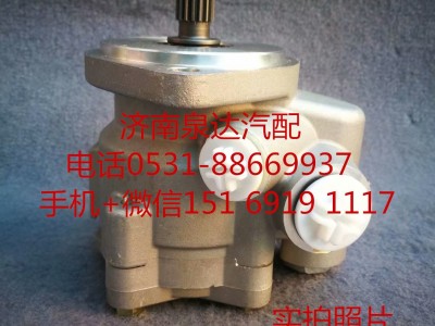 5802208782,轉(zhuǎn)向助力泵,濟(jì)南泉達(dá)汽配有限公司