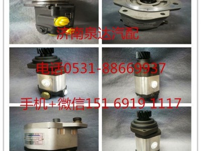 QC25/10-ST,轉(zhuǎn)向助力泵,濟南泉達汽配有限公司