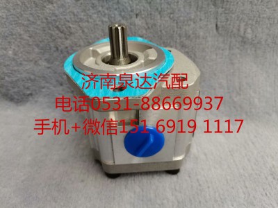 QC20/16-D14,轉(zhuǎn)向助力泵,濟南泉達汽配有限公司
