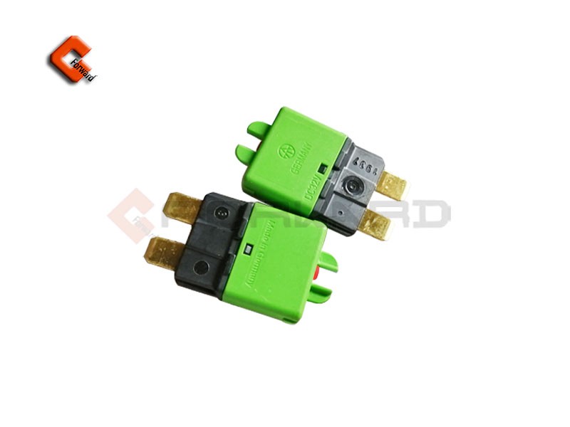 DZ9X189584307 自恢復(fù)式保險絲（AT1-30A）/DZ9X189584307