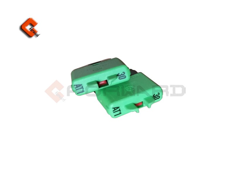 DZ9X189584307 自恢復(fù)式保險絲（AT1-30A）/DZ9X189584307