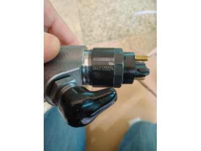 0445120224,博世共軌噴油器0445120224,德艾普（廈門）進出口貿(mào)易有限公司