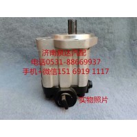 適配濰柴WP6發(fā)動(dòng)機(jī)方向機(jī)助力泵齒輪泵13065973