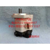濰柴WP6發(fā)動(dòng)機(jī)方向機(jī)助力泵齒輪泵QC20/15-WP6J