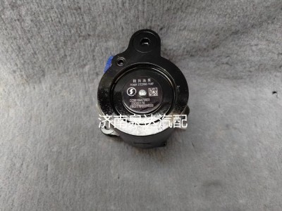 DZ96189470903,轉(zhuǎn)向助力泵,濟南泉達(dá)汽配有限公司