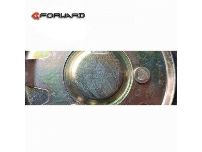 WG9925550003,Fuel tank lock cover assembly,濟(jì)南向前汽車配件有限公司