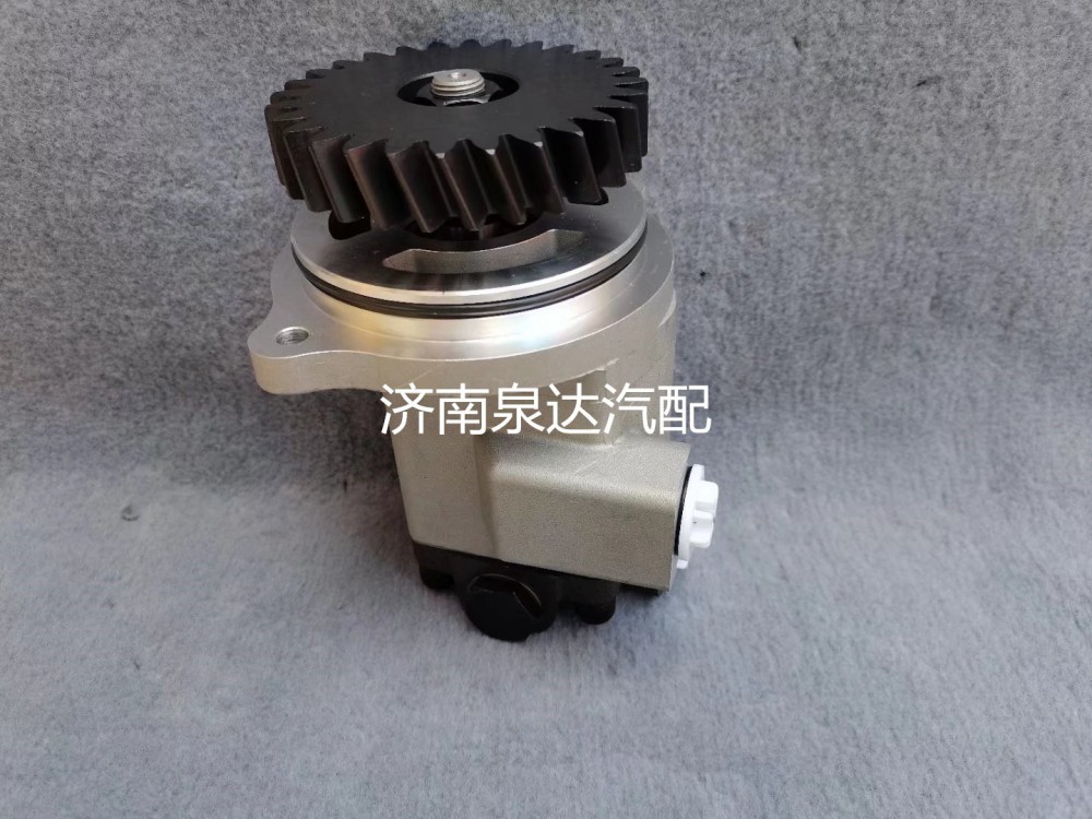 徐工漢風(fēng)祺龍漢沃G7G5方向助力泵齒輪泵液壓轉(zhuǎn)向油泵/3407TFW911-010