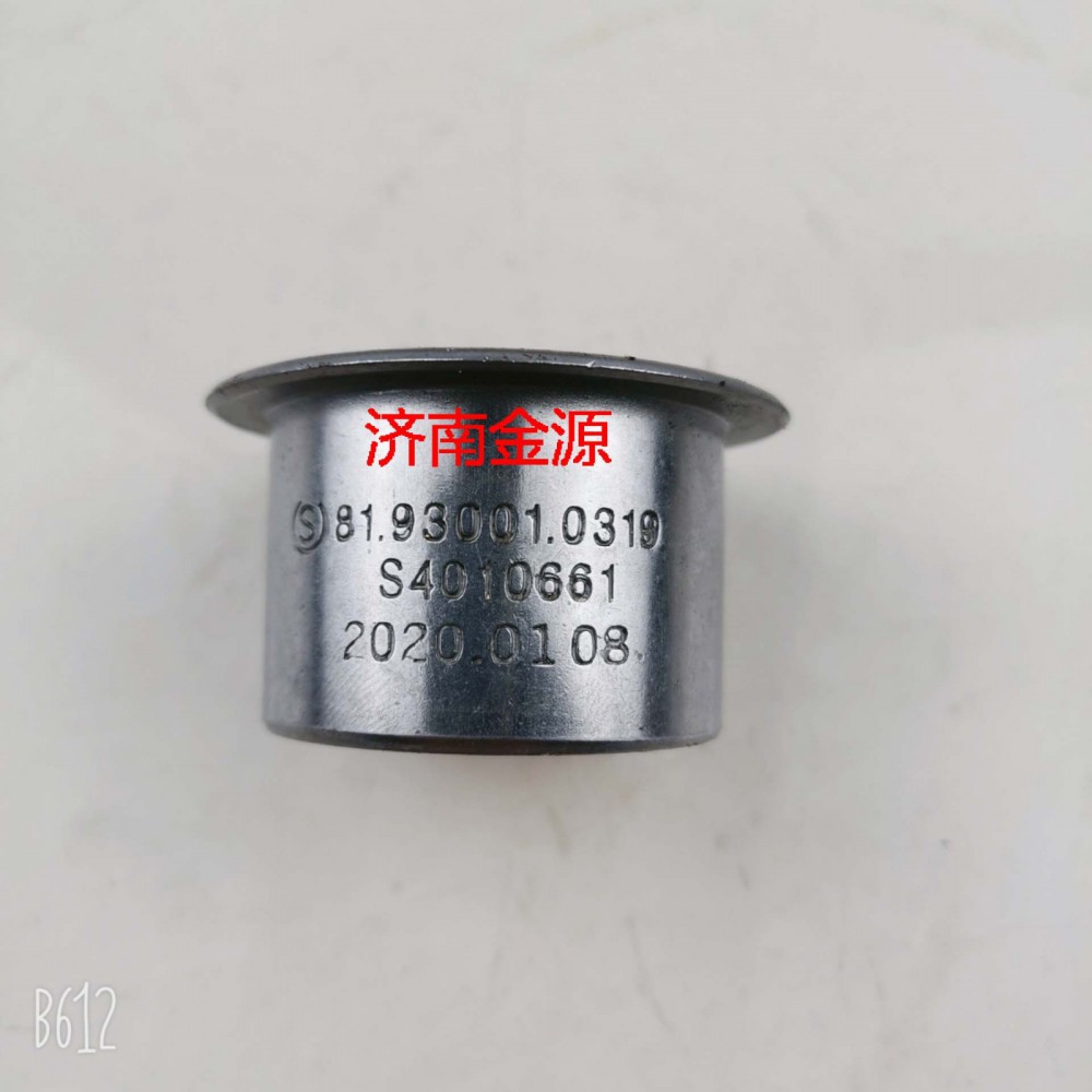 轉向柄桿襯套 德龍 W1301/81.93001.0319