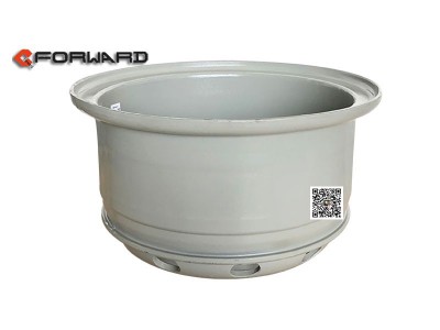 DZ9100610061,8,5-20 two-piece spoked wheels,濟(jì)南向前汽車(chē)配件有限公司