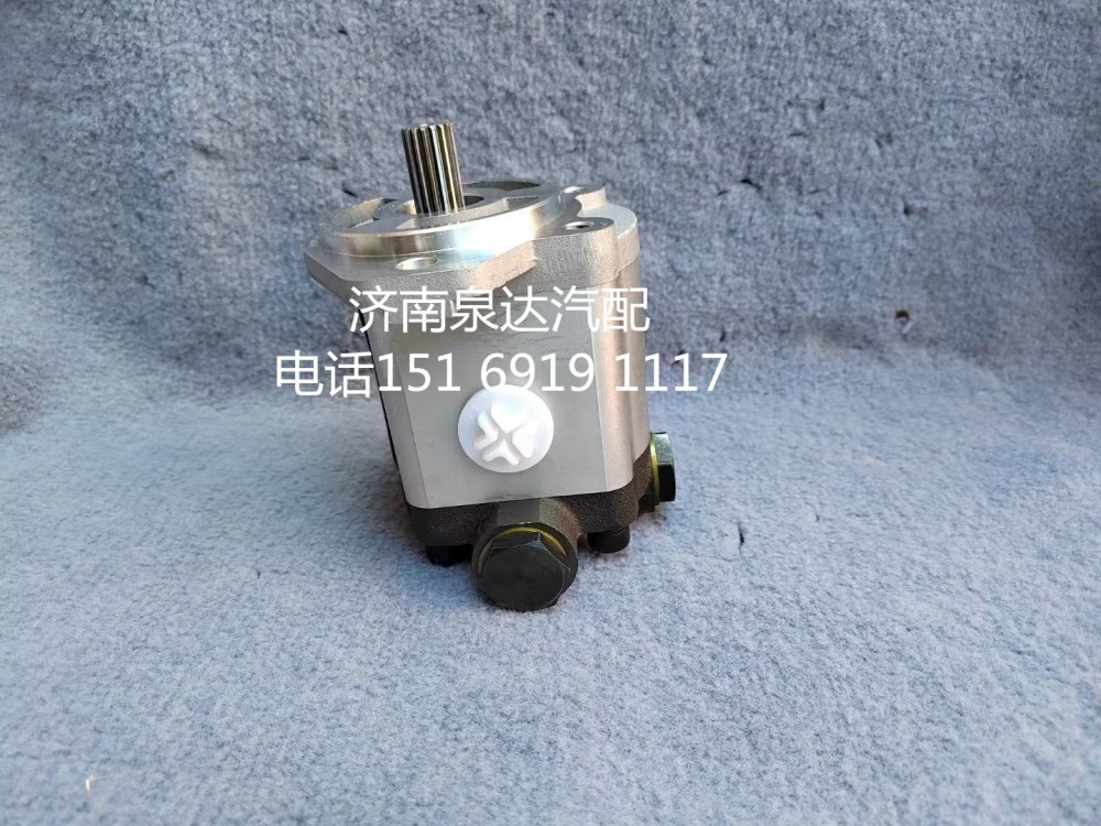 10100122,齒輪泵,濟南泉達汽配有限公司