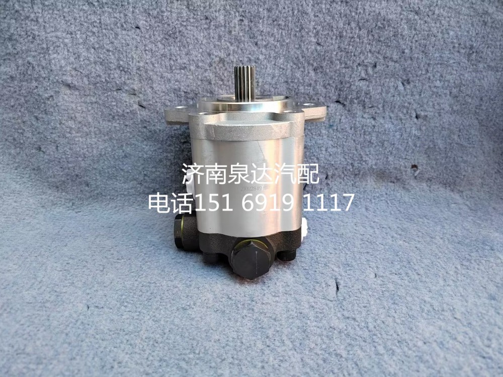 10100122,齒輪泵,濟南泉達汽配有限公司