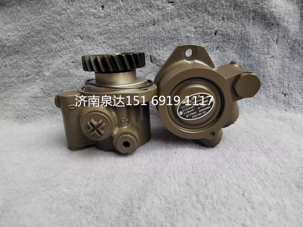 重汽豪沃豪曼悍將王牌統(tǒng)帥輕卡轉(zhuǎn)向泵助力泵液壓油泵/FG9806476900