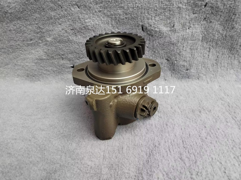 重汽豪沃豪曼悍將王牌統(tǒng)帥輕卡轉(zhuǎn)向泵助力泵液壓油泵/FG9806476900