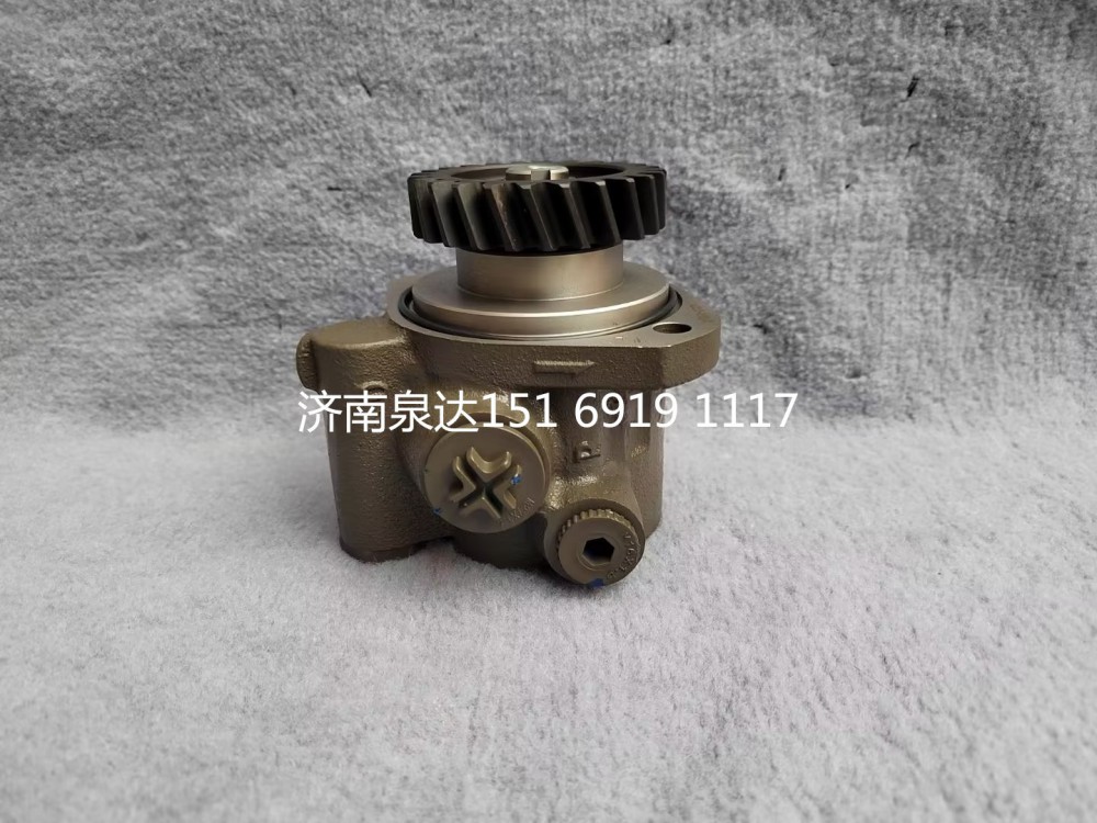 重汽豪沃豪曼悍將王牌統(tǒng)帥輕卡轉(zhuǎn)向泵助力泵液壓油泵/FG9806476900
